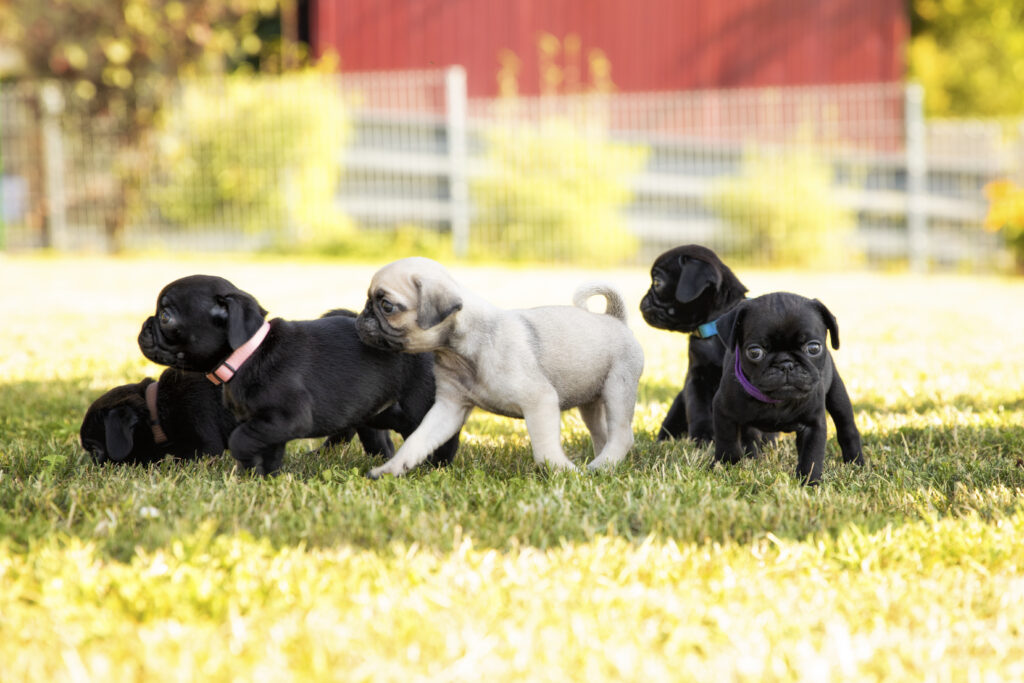 Joanna Salm Photography, www.foto-salm.de