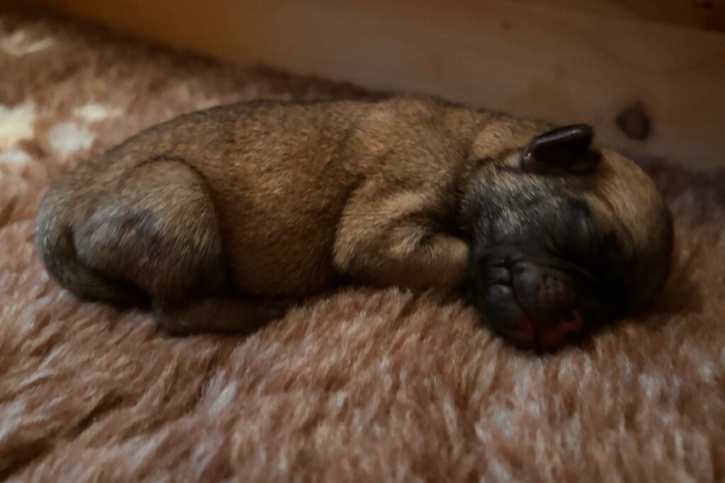 WhatsApp Bild 2025-10-08 um 18.40.48_34f336d8